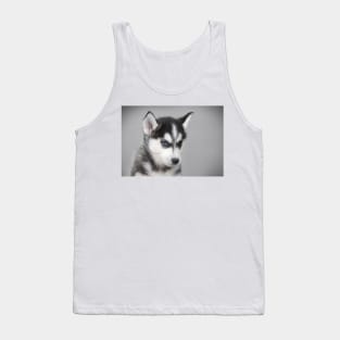 Husky puppy Tank Top